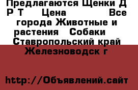 Предлагаются Щенки Д.Р.Т.  › Цена ­ 15 000 - Все города Животные и растения » Собаки   . Ставропольский край,Железноводск г.